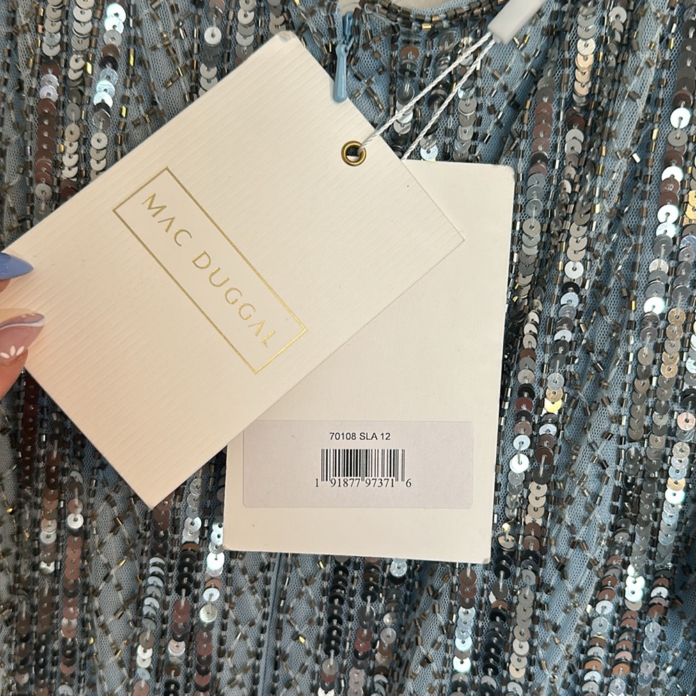 Adrianna Papell Ice Blue Silver Sequined Maxi Dress - Picture 9 of 12